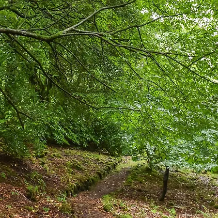 Needle House * Ravenstonedale