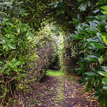 Needle House Сasa de vacaciones *