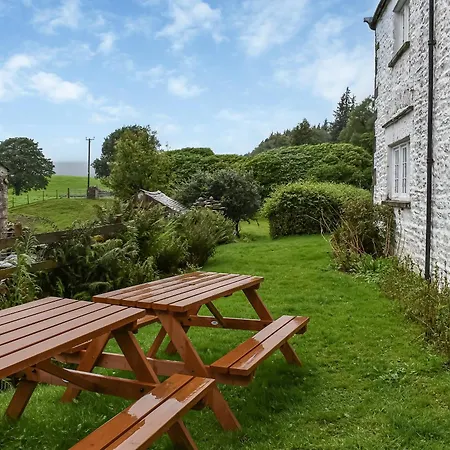 Tatil Evi Needle House *