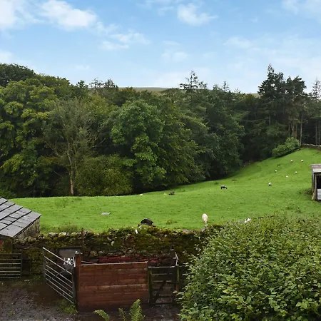 Tatil Evi Needle House *