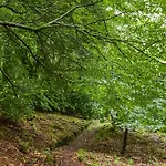 Needle House * Ravenstonedale